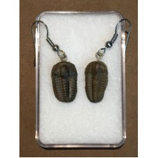 Naušnice z trilobita